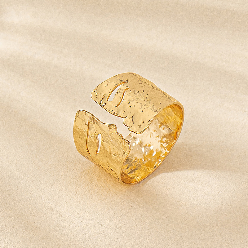 1 Piece Quantity Street Occasion Iron Material Retro Geometric Alloy Plating Women's Open Rings