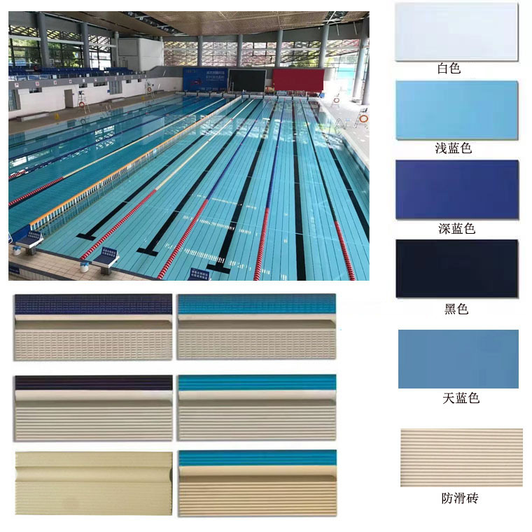 体育馆标准泳池专用瓷砖115240国标竞赛游泳池瓷砖蓝色釉面砖