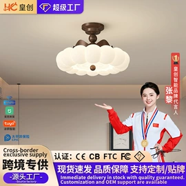 风扇灯;吸顶灯;智能家居