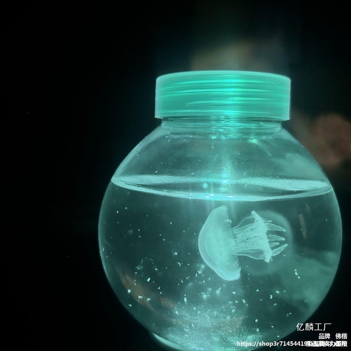 小动迷你学生摆摊水母儿童宠物网动物水族箱缸红好水族活物养儿家
