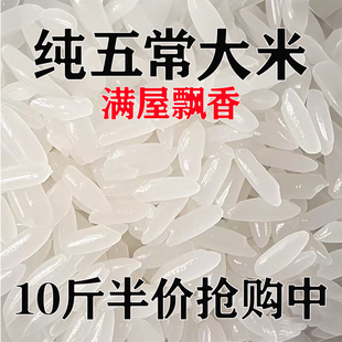 �峣�����׬Fĥ2025�����������L������������l10��20��