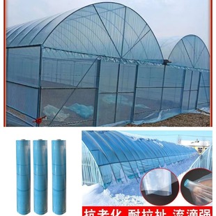 Agricultural Greenhouse Film Po Vegetable Film Greenhouse Strawberry Flower Film Plastic Sheet Film Drip-Free High Light Transmittance