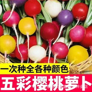 �ļ����ˮ�������}�������ϼt�S�G��Ƥ�۴����}��СĴָ�}���N��