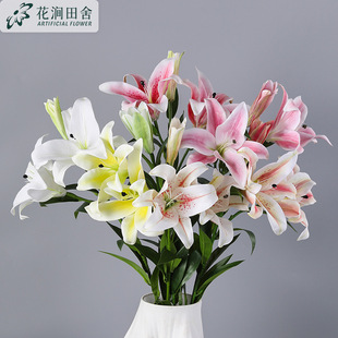 �ָ��zƬ 3D�ٺ� ��c�[�����滨�ҾӾƵ�ܛ�b��̼ٻ��辰����