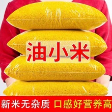 2024优质小米黄小米煮粥食用小黄米杂米煮粥小黄米新米脂油小米