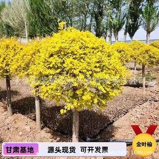 ���C���ؽ��~�� �@���o���е��G�� �����Nֲ���ͺ��ܘ��^���߷�֦