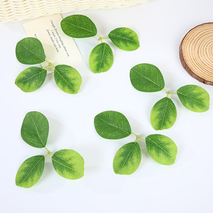 ����ֲ�������~�ֹ�DIY��֦�Gֲ������ϔzӰ��������bG�~��