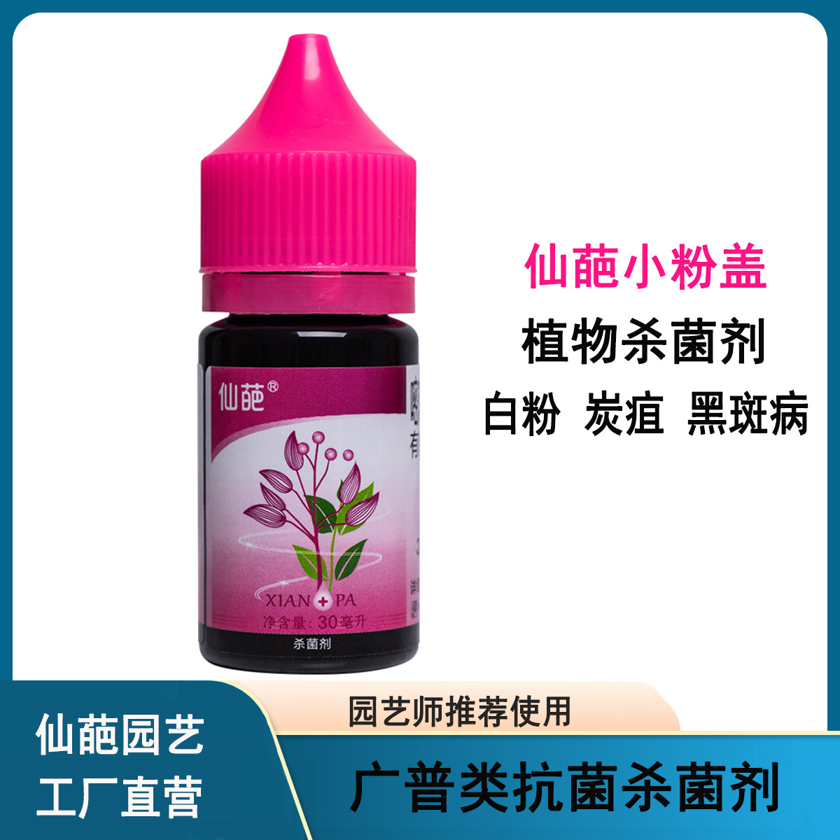 仙葩白粉病黑斑病炭疽病枯萎病锈病植物普广杀菌剂抗菌素