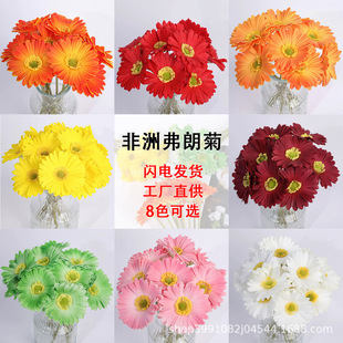 �羳���Q ������޾� ���ʾջ����l �Ҿ�PU�ָКWʽ���ʾ� �b�