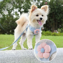 G 48771 Small Dog Vest Harness Leash ��Ȯ����ǣ���� ����