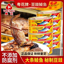 粤花金装豆豉鲮鱼罐头227g/207池鱼凤尾鱼咸香熟食拌饭鱼罐头