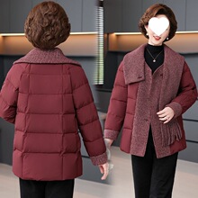 ������|���b�¿����q��2025��ů�������������r�ж�������