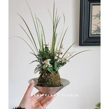 �H�۵ľGֲ���\���~̦�\���辰�k���҃Ⱥ��B��������GֲС����