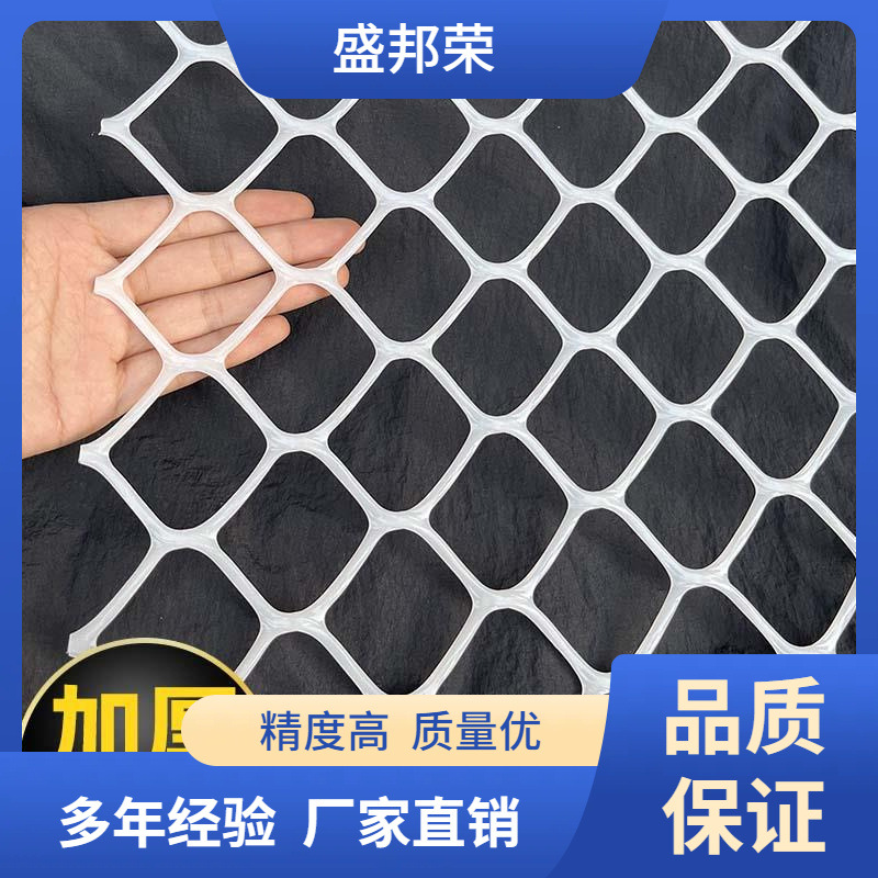 盛邦荣防盗窗网防猫大儿童封窗塑料围栏孔网网格阳台防护网防