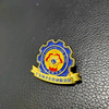 Manufacturer supply metal badge lion club breast chapter will be a free design of corporate logo brooch personality school badge