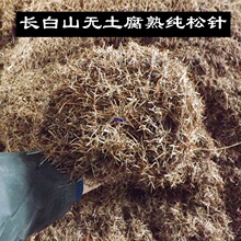 �B���������~���~�Nֲ��������ᘶ�������m�G�}�o�������