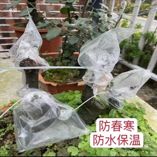 �޽ӱ������ϴ��������޽��p�@�M���ܷ��͸���������״�����