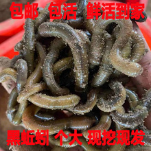 ����r�����S�X���w���ش����������Ұ��~�D���s�羳һ�����l