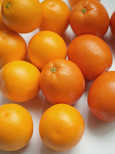 假橙子道具 澳橙脐橙模型 餐厅装饰摆件 水果摄影拍照装饰品