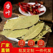 �S��ֱ�N���ð˽����~��Ƥ�����{���u�ϴ�ȫ�S��ֱ�lһ�����l��ُ