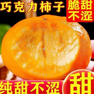 �������rˮ�������o�������Ӳ�S����1/5��SԴ�^���Sһ�����l