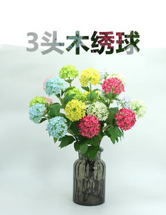�羳���N���潑�����^��ѩ����滨��c�Ҿ��bzӰ�ٻ����l