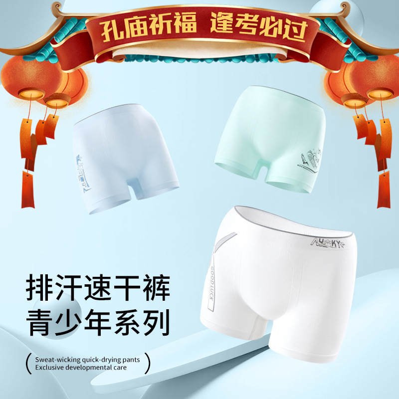 3 Packs Boxed Teenager Sweat-wicking Quick-drying Pants Silk Boys' Underwear plus size Children's Underwear Men's Boxer Little Men's Pants