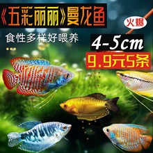 �����~��ˮ�~���^�p�~���B�ͻ�С�~������С����������~���ֻ��~