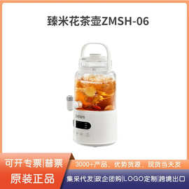 臻米大容量养生壶水龙头可拆恒温果酒炖煮一体花茶家用多功能聚会