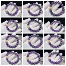 �����x��ʮ����Ф������ִ�����������Ա����������Ą�����Y