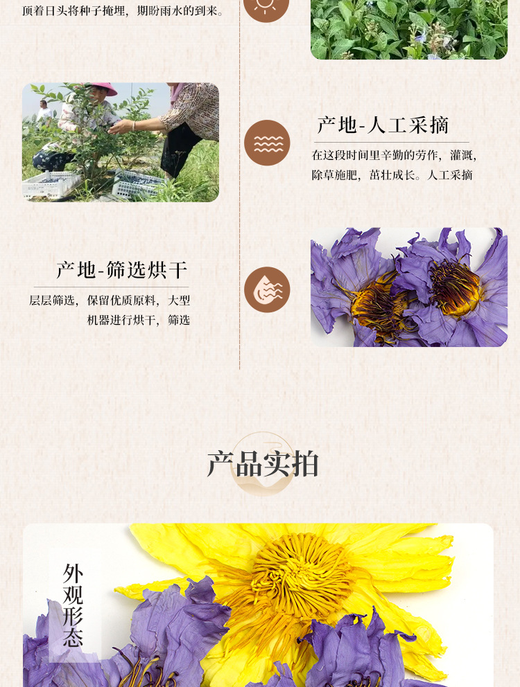 Blue Butterfly Pea Flower 500g Dried Clitoria Ternatea Herbal Tea Ingredient quality and texture