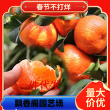 ����Y�����Ә��������Ϸ������Nֲ���Ӹ��ٽ��Ә���޽��ļ�ͥԺ