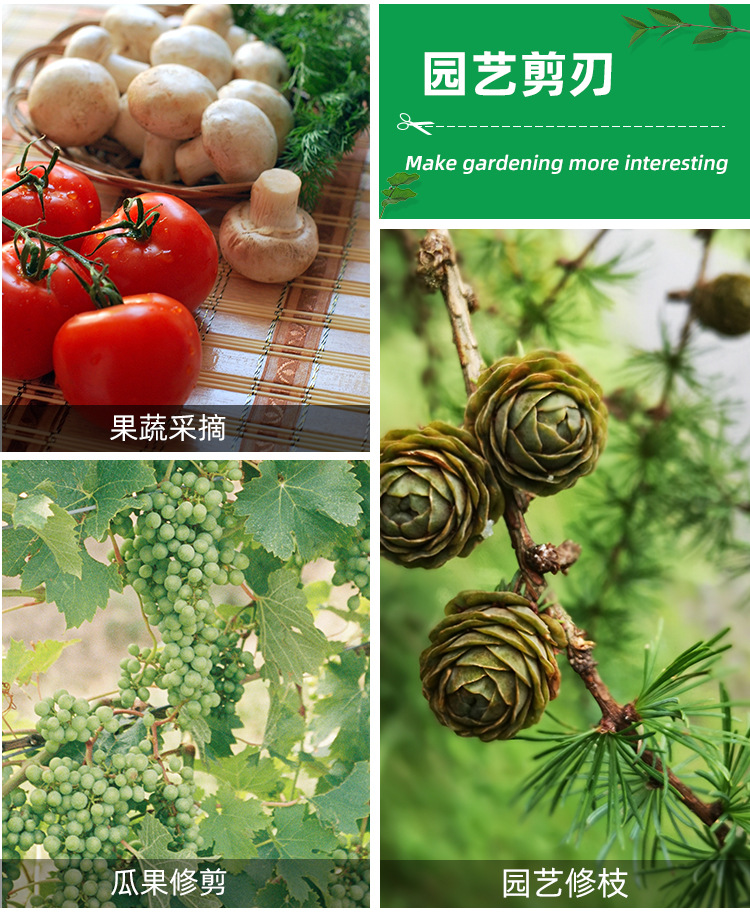 三色鸟嘴橡塑修枝剪_02