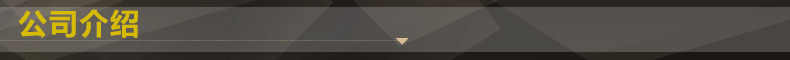 公司介绍