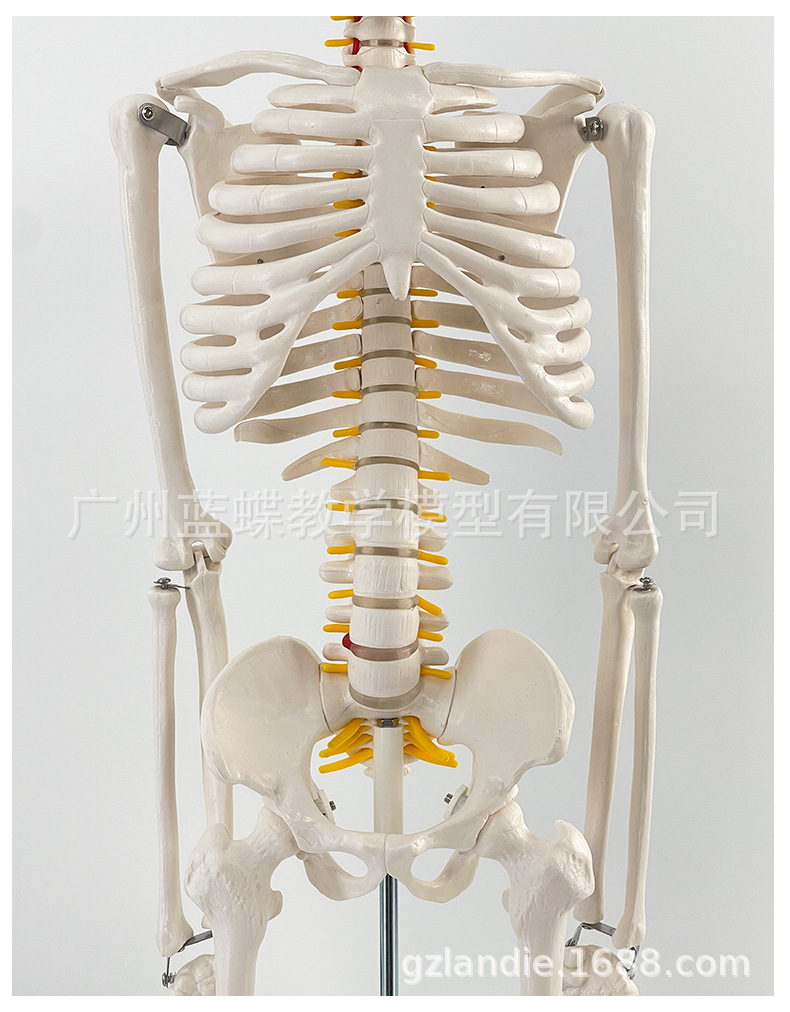 详情1 (3)