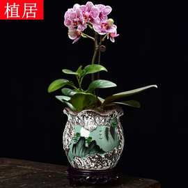 陶瓷花盆2022新款客厅新中式中国风兰花吊兰蝴蝶兰创意大号紫砂盆