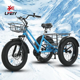 三轮车;电动三轮车;其他电动车