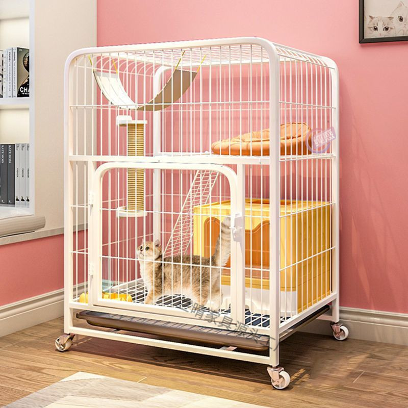 179eac1a-b263-4b72-ac3d-eafa0cba77d0.jpe