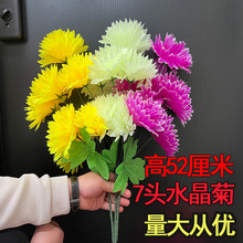 ����������ջ������ω����Ͻ������뚛����ƷĹ�ؒ�Ĺ���[�żٻ�