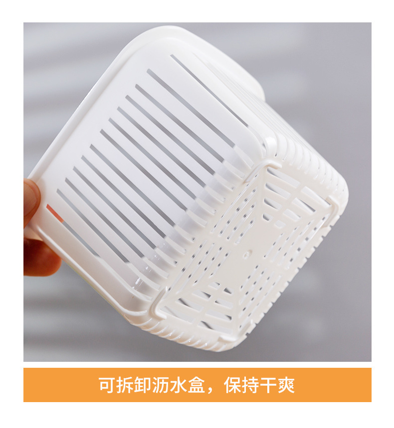 Japanische Frischhaltedose mit Abtropfgitter, tragbare Obst- und Bento-Box, Kühlschrank-Lagerbehälter für Lebensmittel, Aufbewahrungsbox für Zwiebeln, Ingwer und Knoblauch, Großhandel