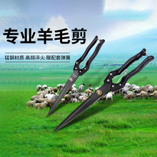 ����ë�ļ����ֶ����ֹ����ɴ�ż��ü�����ë����ë�Ĺ�����ë��