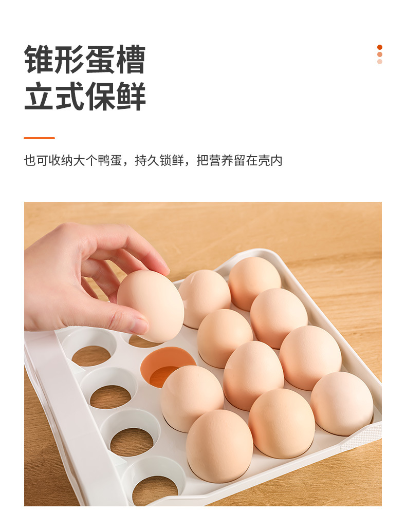 鸡蛋盒_09.jpg