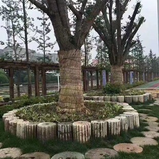 ʯ��ʯ�����lͥԺ�e�����䁵����f�lʯ���@������ʯʯĥ�P����