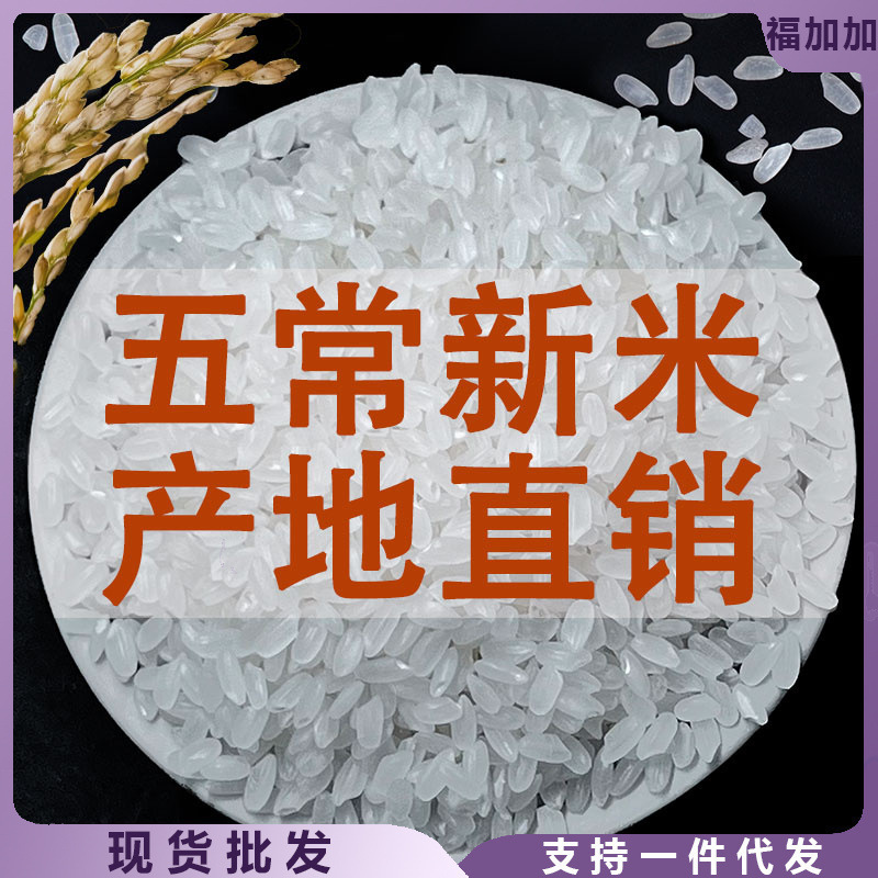 五常大米10斤20农家厂家直销批发|undefined