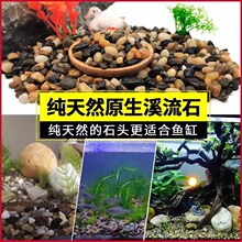 鱼缸造景底砂雷龙龟缸石头子水族箱水草装饰原生溪流河底沙鹅卵石