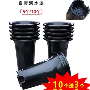 5/10���G�m�Ӻ������m��������绨��������m����ظ�������