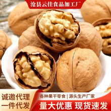 代发纸皮核桃薄壳原味好吃核桃散装批发薄皮手剥即开185纸皮核桃