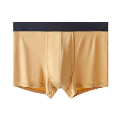 60 Count Lenzing Modal Men's Underwear Mid-waist Breathable 5A Antibacterial Underwear Men's Ice Silk Feel Zhongshan Manufacturer Wholesale
