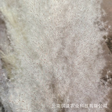 ����JȔ����Ȕ���S���l�ɻ��������W����b�Y���ñ��W�bE18