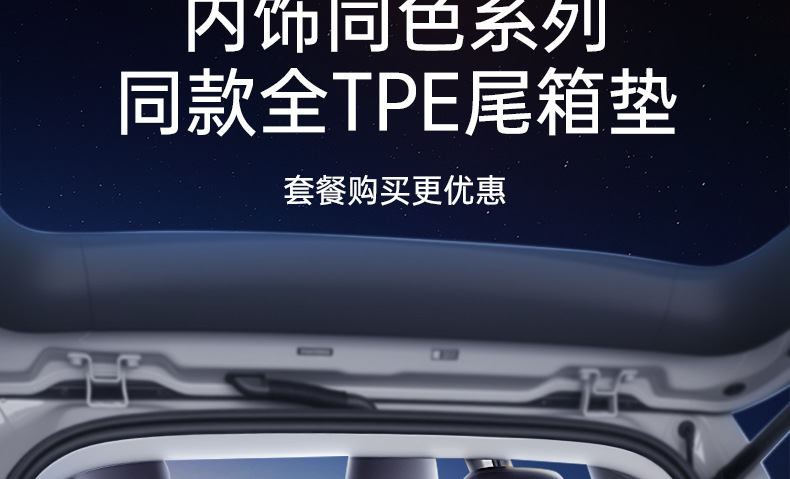 Specially Used for Zero Running B10 Floor Mats Tpe2025 New Car Main and Passenger Interior Modification Accessories Carpet Collection